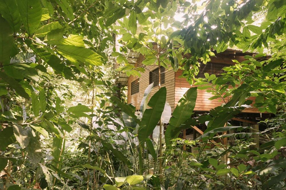 Photo of Outdoor in Cocles