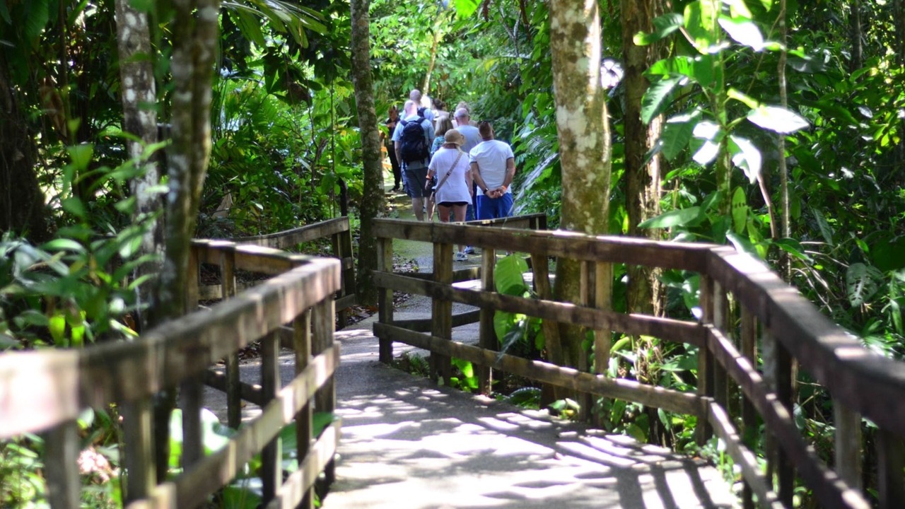 Photo of Others in Santa Lucia