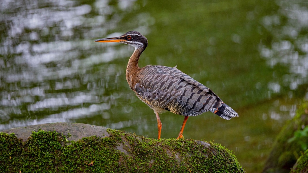 Photo of Outdoor in Santa Lucia