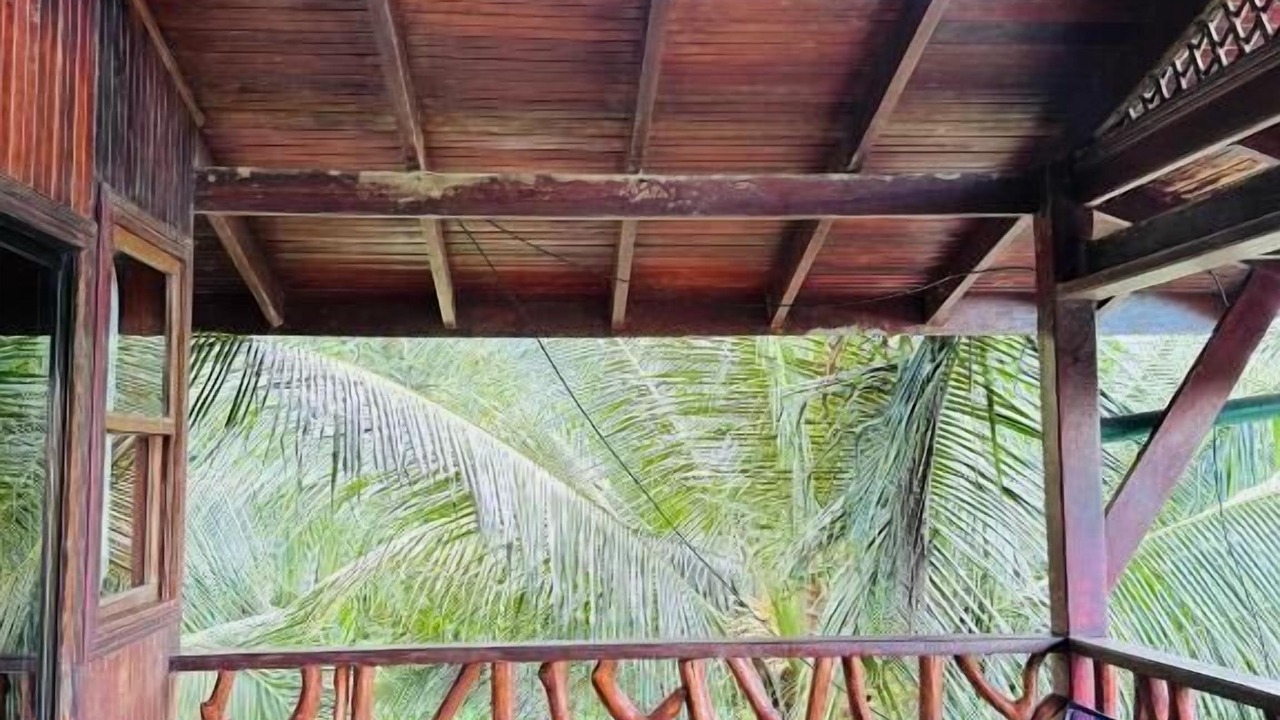 Photo of Patio Balcony in Cocles