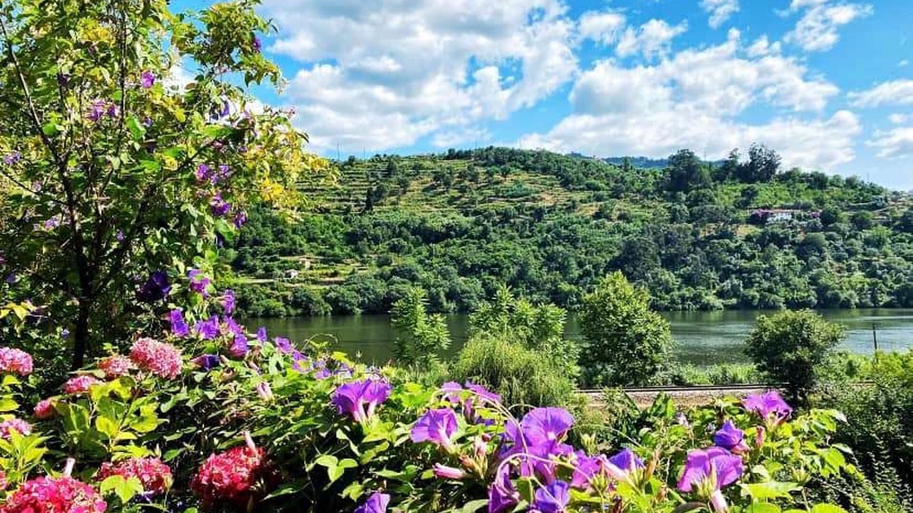 Photo of Others in Santa Cruz do Douro