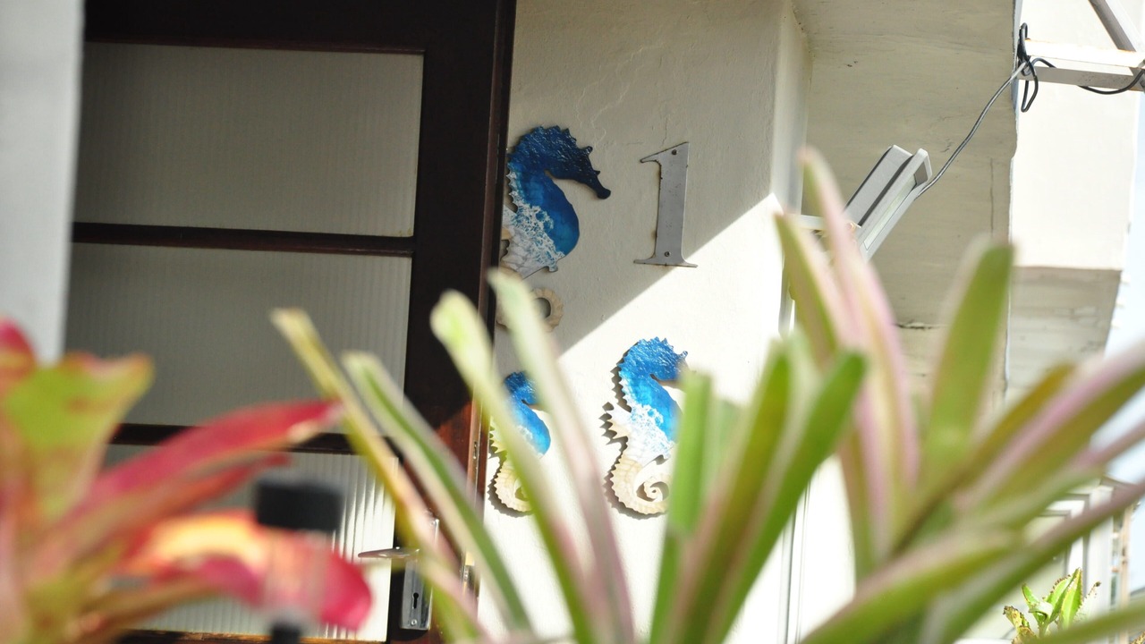 Photo of Outdoor in Pollok Beach