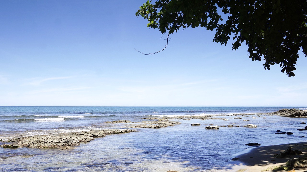 Photo of Others in Cahuita