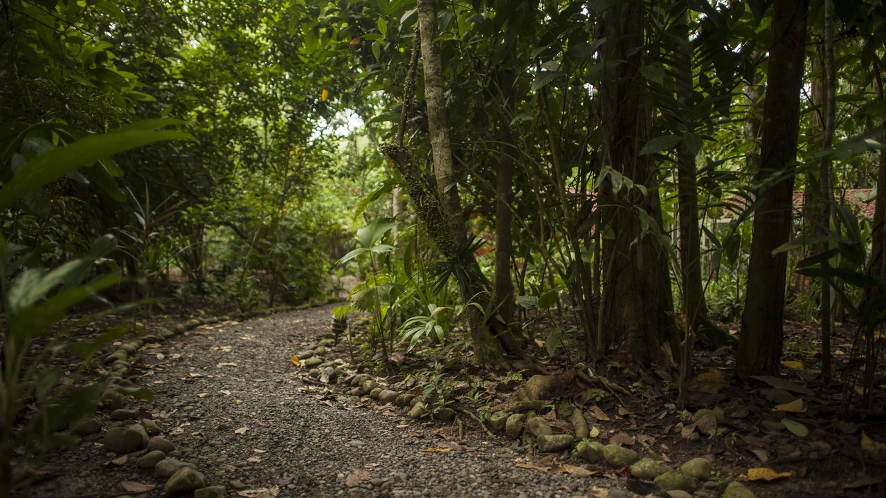 Photo of Others in Cahuita