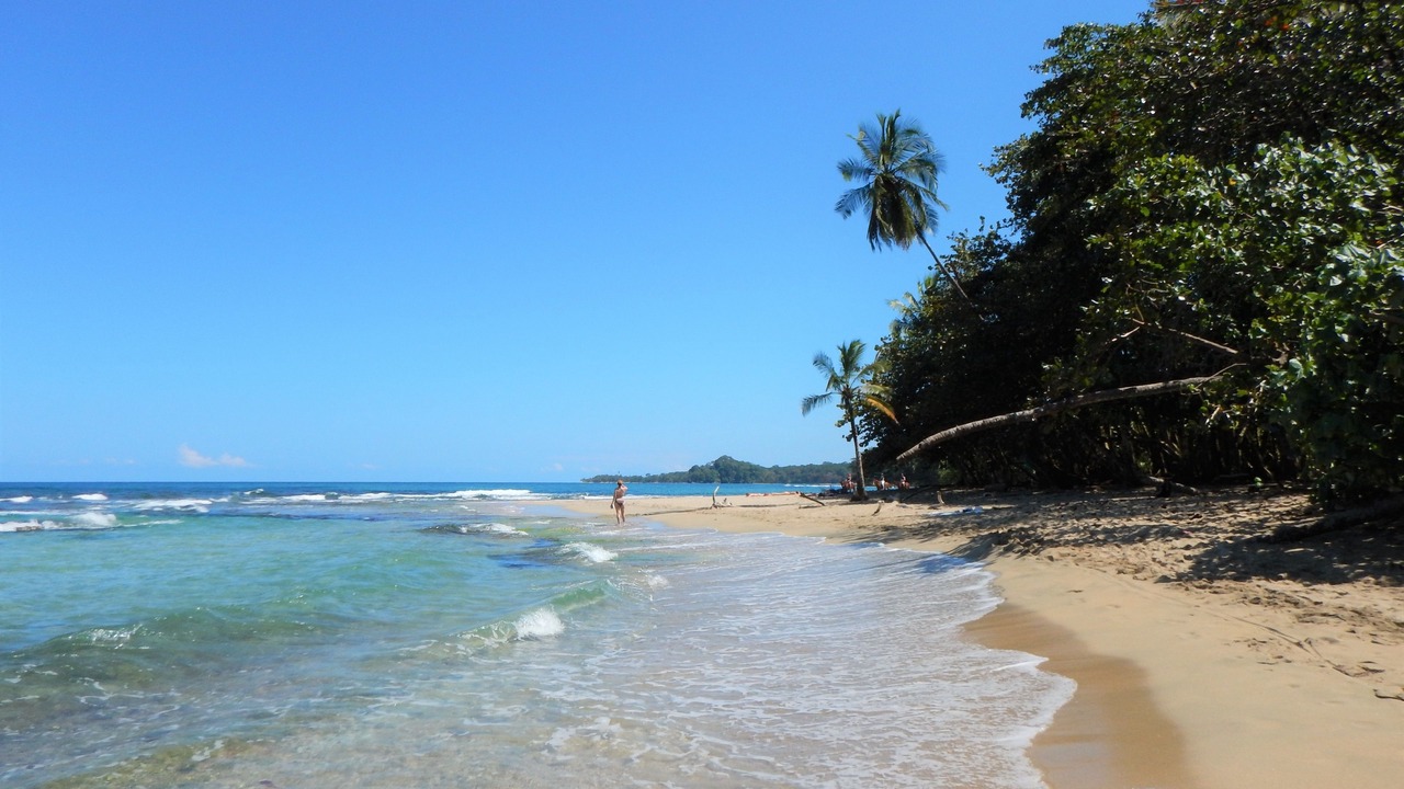 Photo of Others in Cahuita