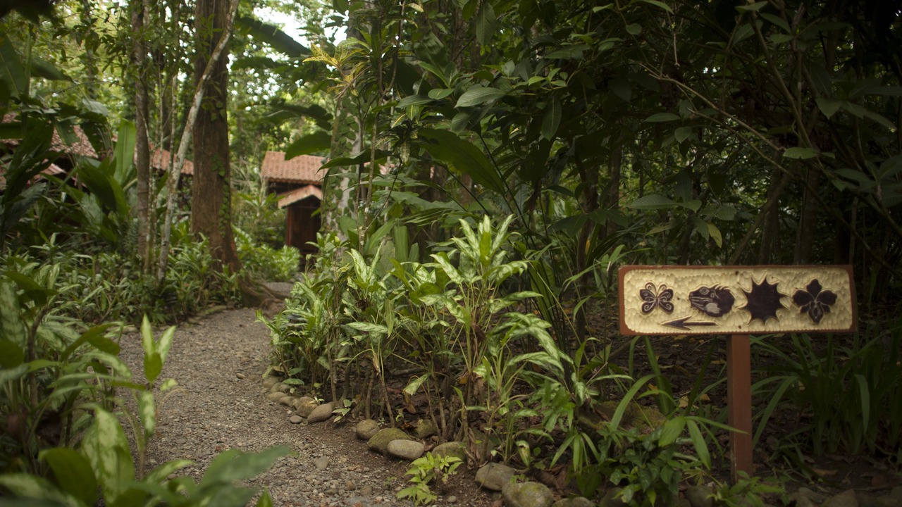 Photo of Outdoor in Cahuita