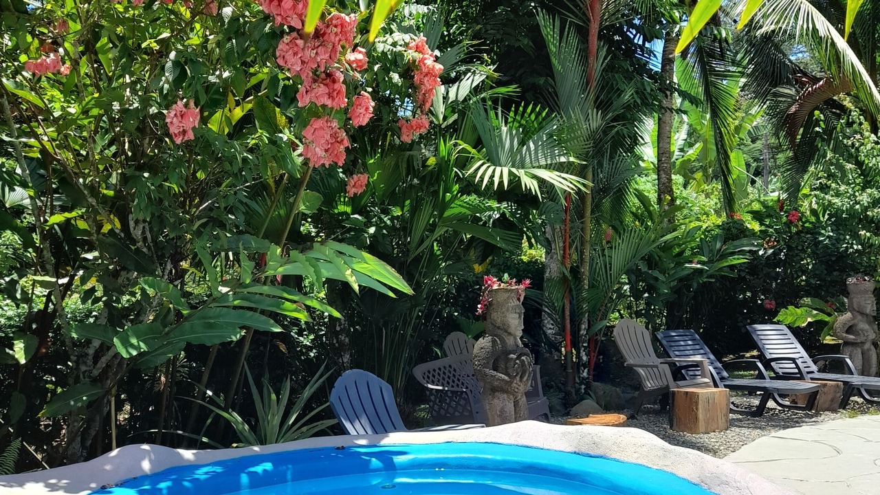 Photo of Outdoor in Cahuita