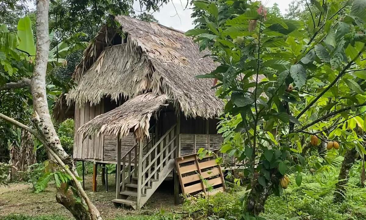 Photo of Others in Cahuita