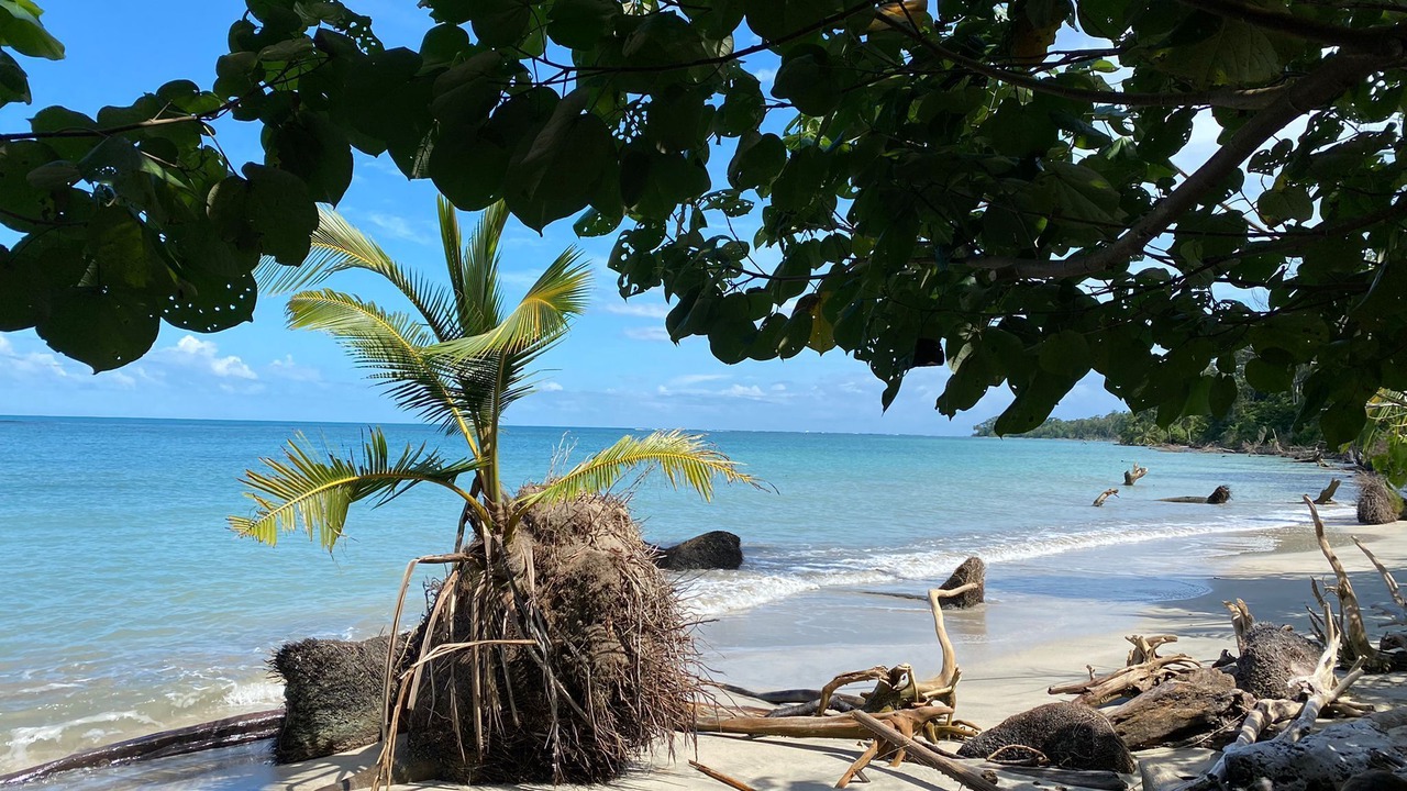 Photo of Outdoor in Cahuita