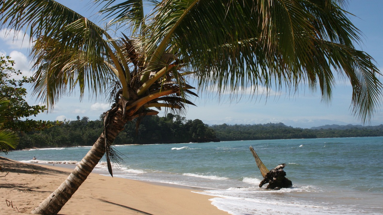 Photo of Others in Cahuita