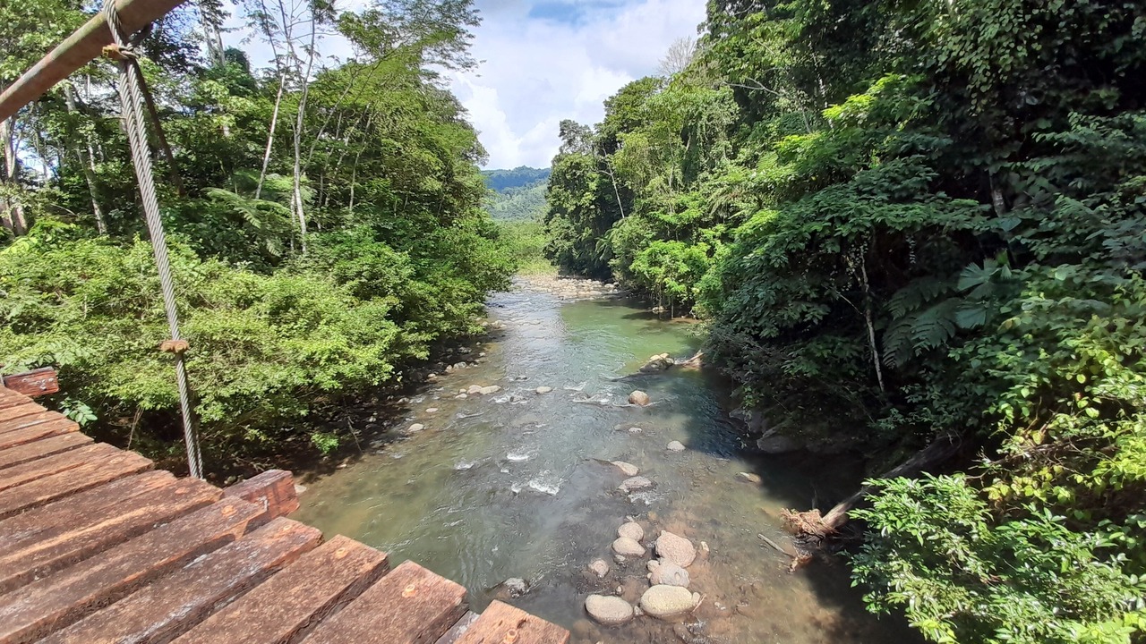 Photo of Others in Cahuita
