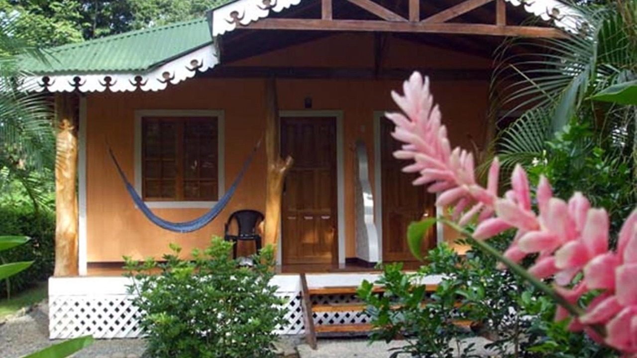 Photo of Outdoor in Cahuita