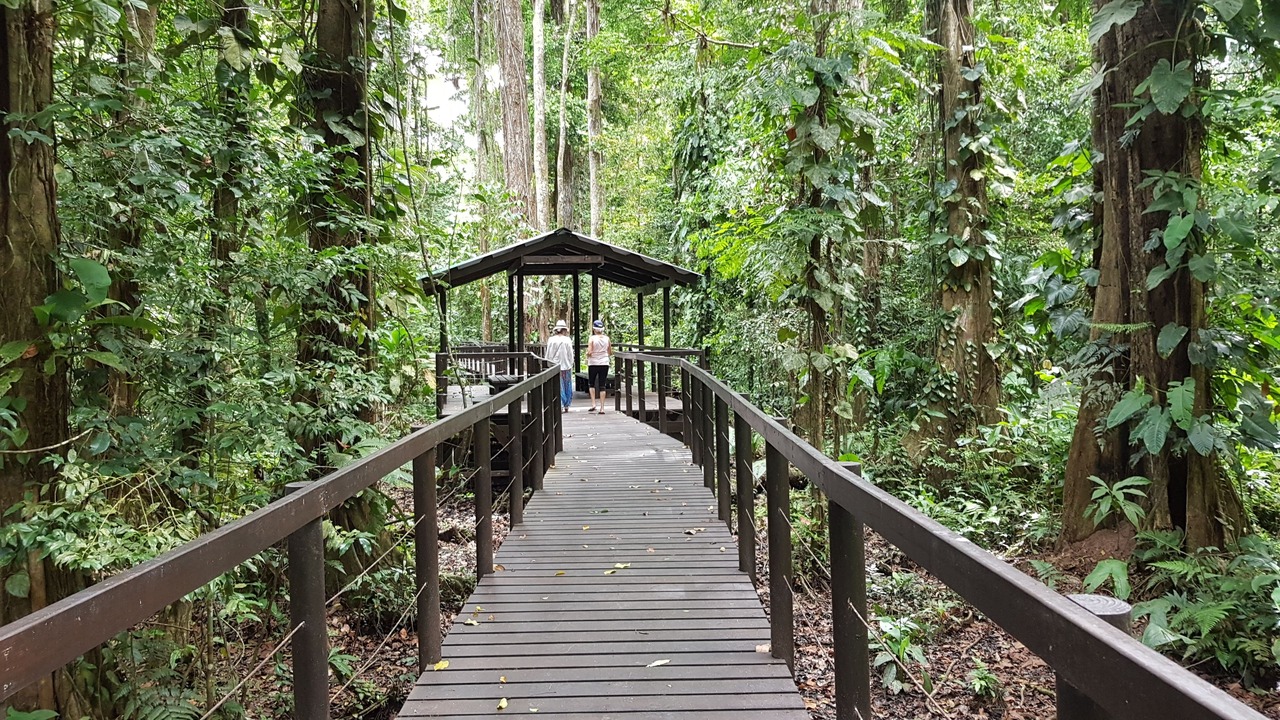 Photo of Outdoor in Cahuita