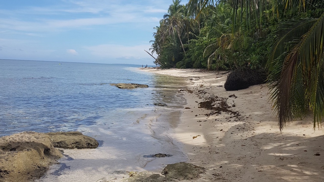 Photo of Others in Cahuita