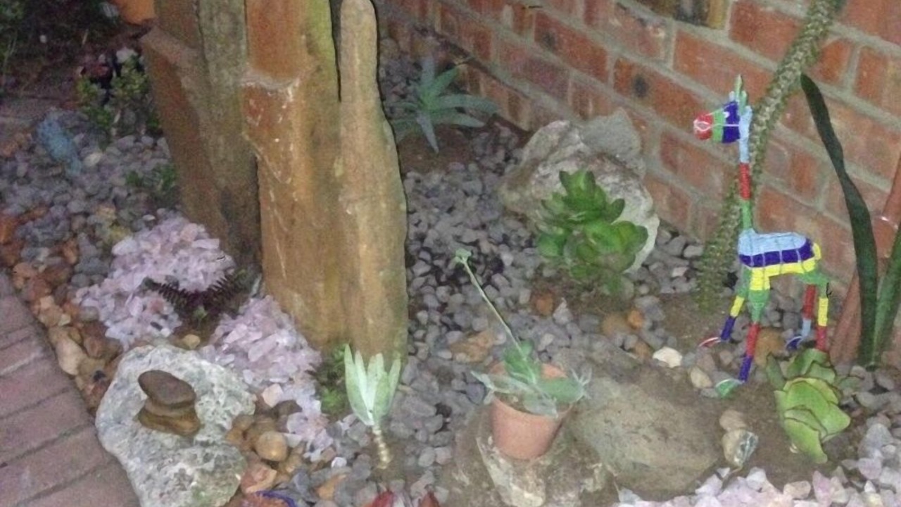 Photo of Outdoor in Walmer