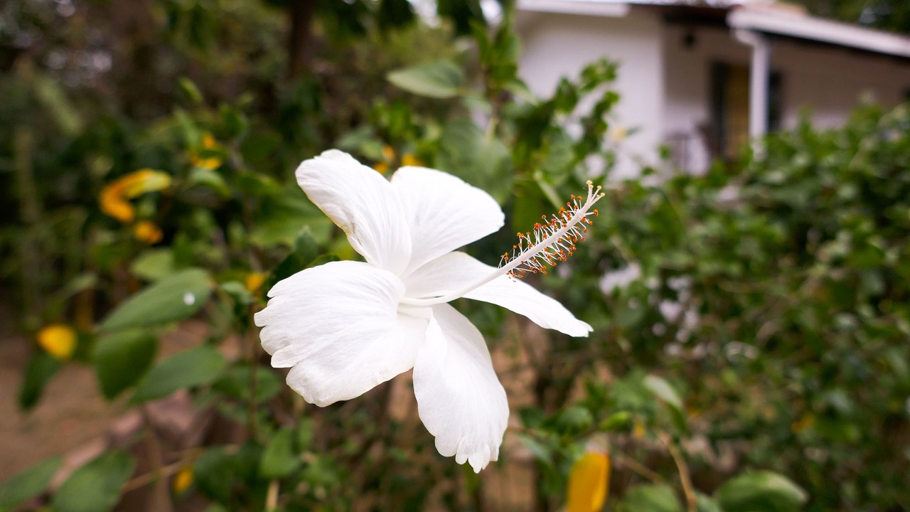 Photo of Outdoor in San Juan del Sur