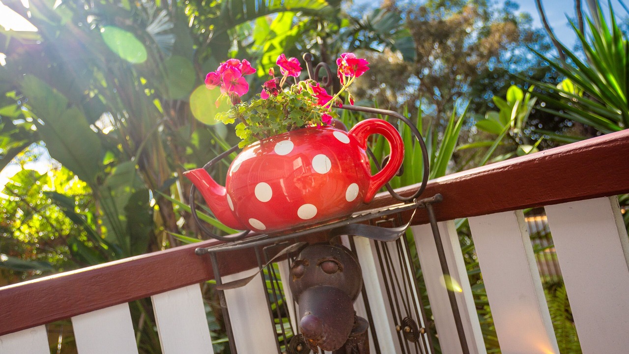 Photo of Patio Balcony in Mudgeeraba