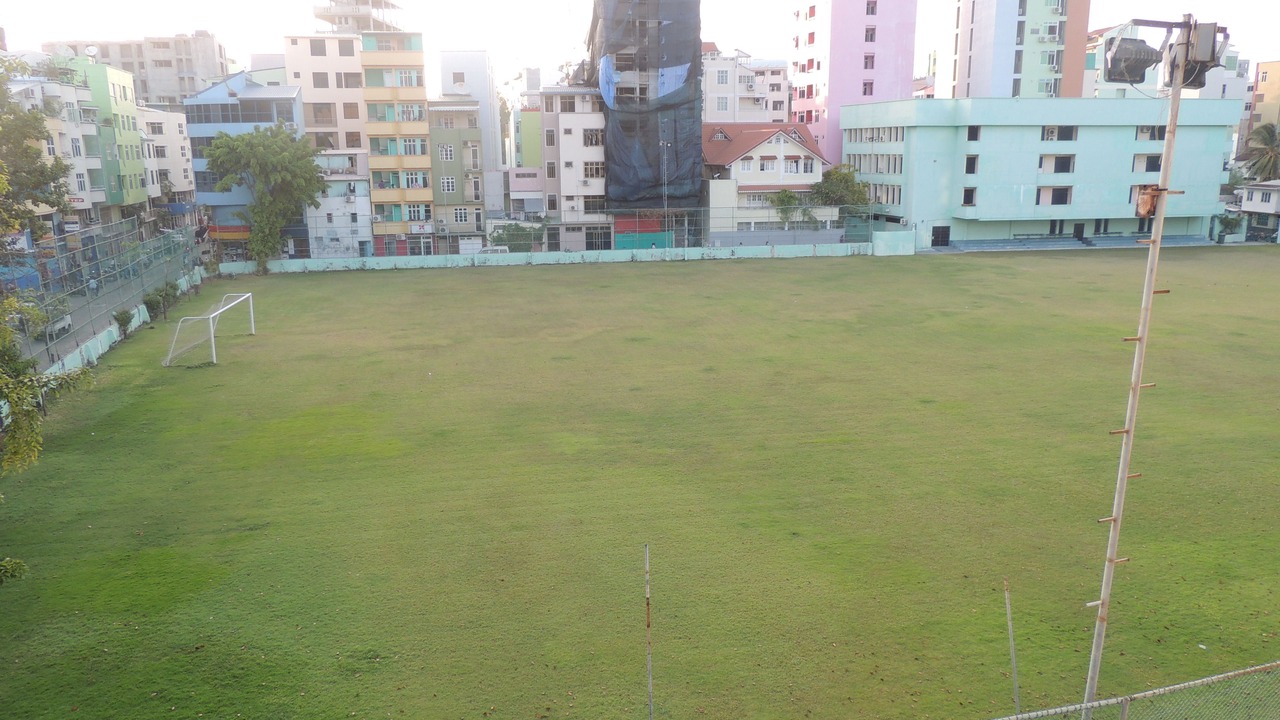 Photo of Outdoor in Male