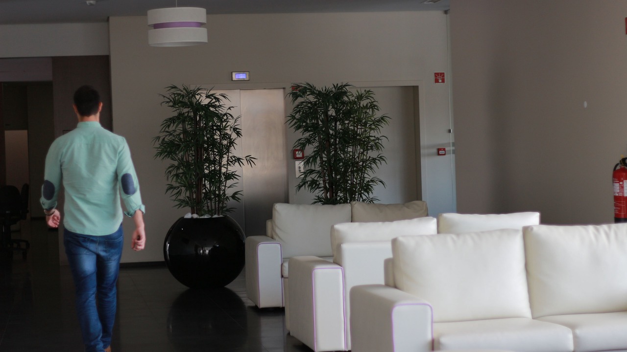 Photo of Others in Espinho