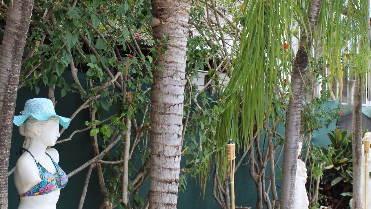 Photo of Others in Coco