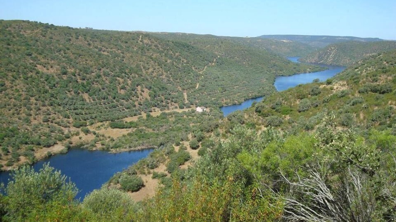 Photo of Others in Rosmaninhal