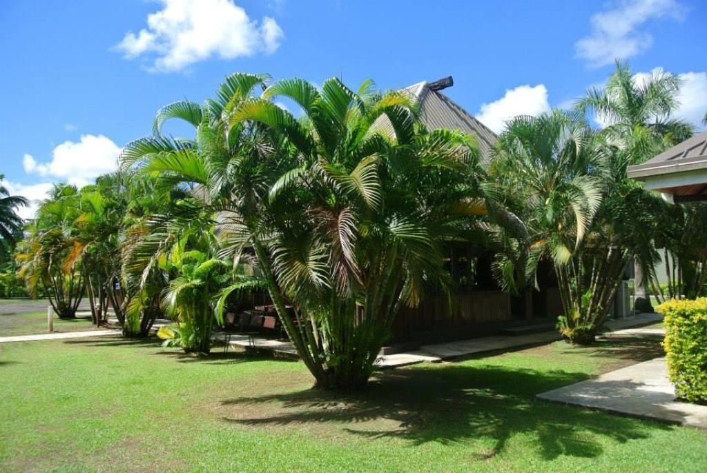 Photo of Outdoor in Labasa