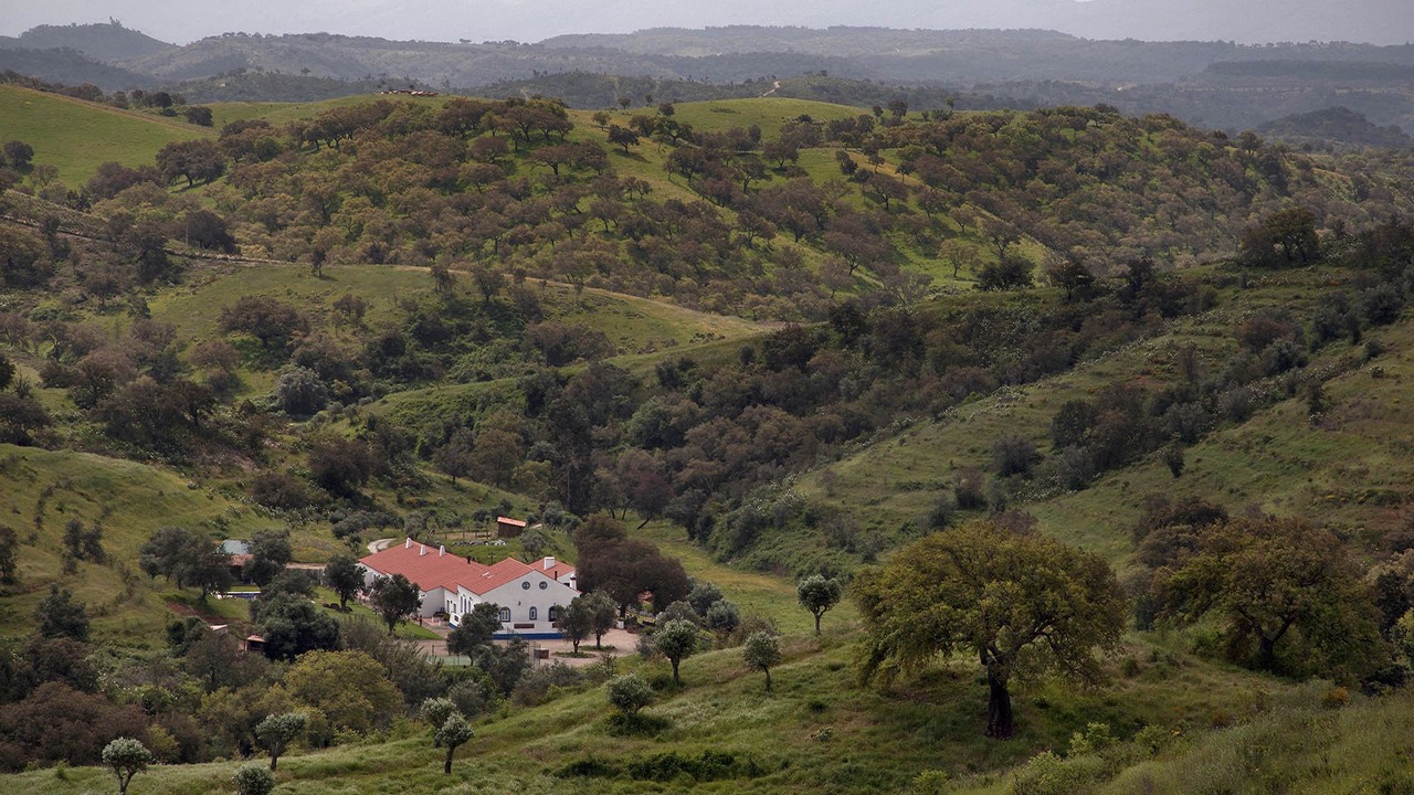 Photo of Outdoor in Santa Maria