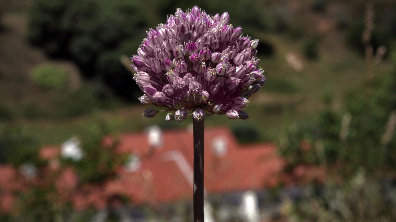 Photo of Outdoor in Santa Maria