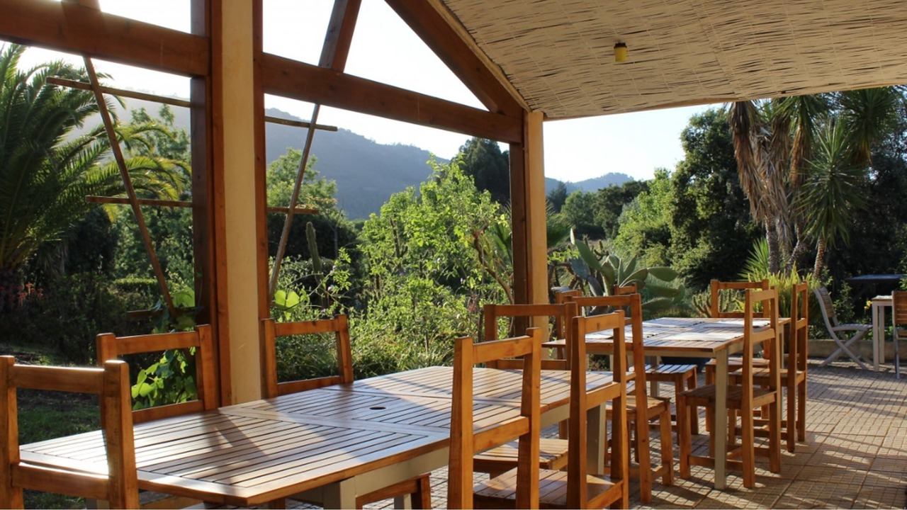 Photo of Others in Sao Luis