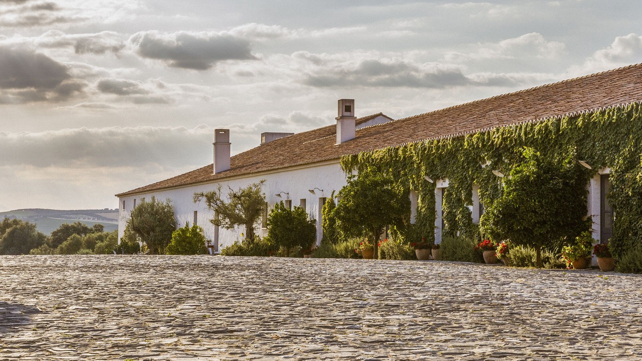 Photo of Outdoor in Reguengos de Monsaraz