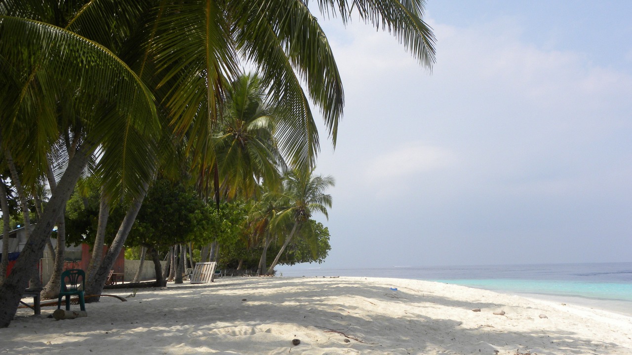 Photo of Others in Maalhos