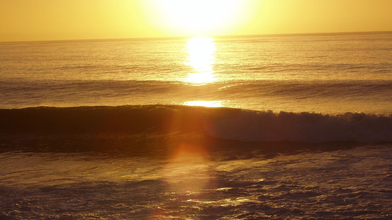 Photo of Others in Wavecrest