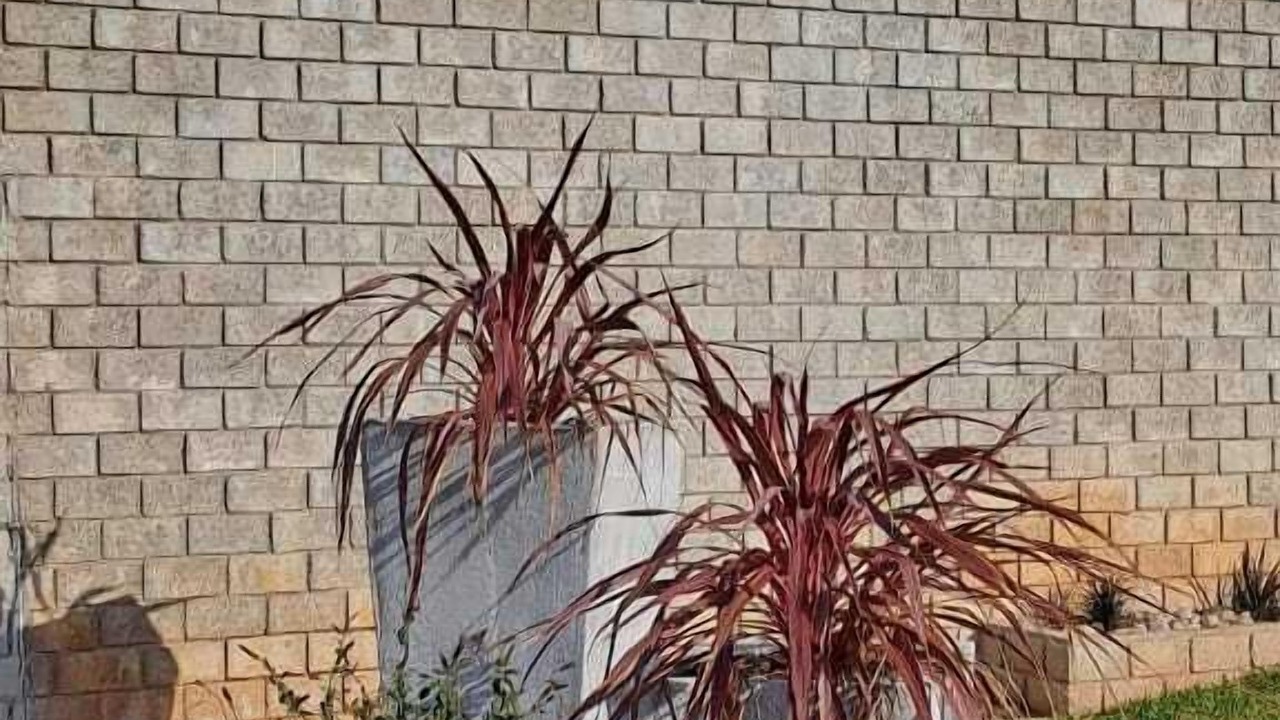 Photo of Outdoor in Wavecrest