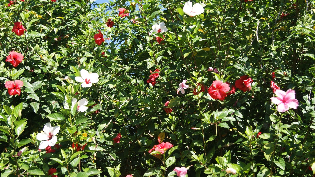 Photo of Outdoor in San Juan del Sur