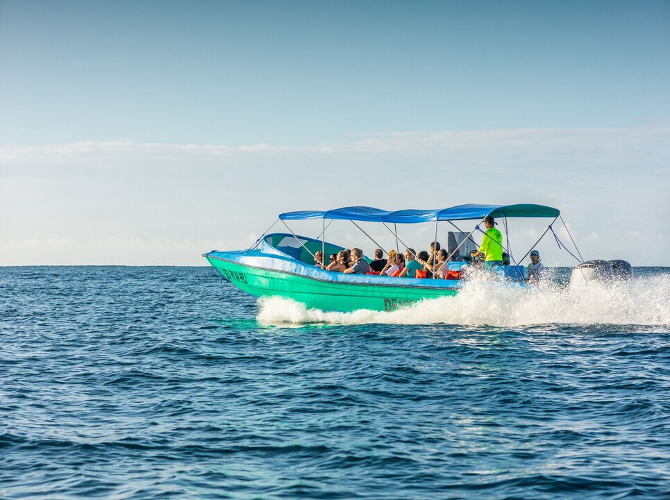 Photo of Outdoor in Drake Bay