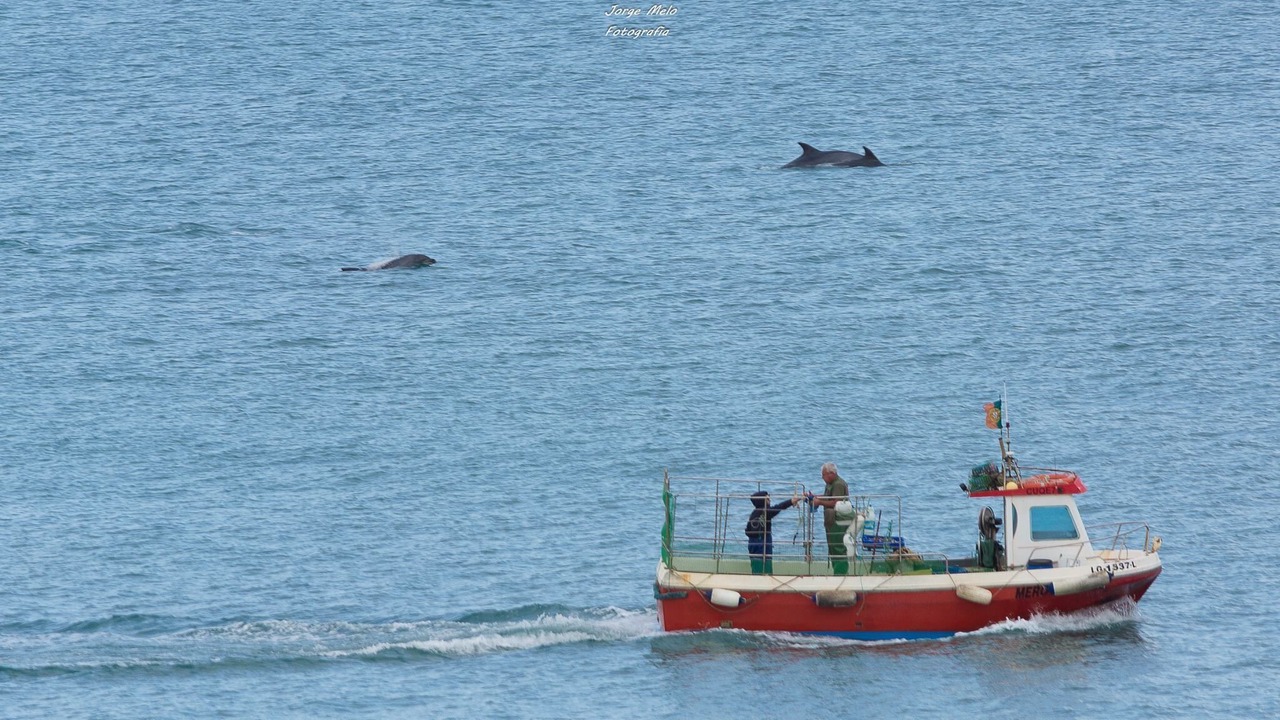 Photo of Others in Porto de Mos