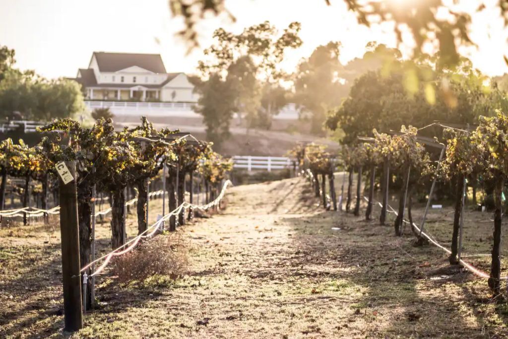 Photo of Outdoor in Temecula