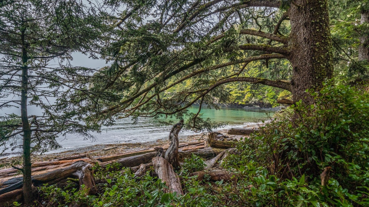 Photo of Others in Ucluelet