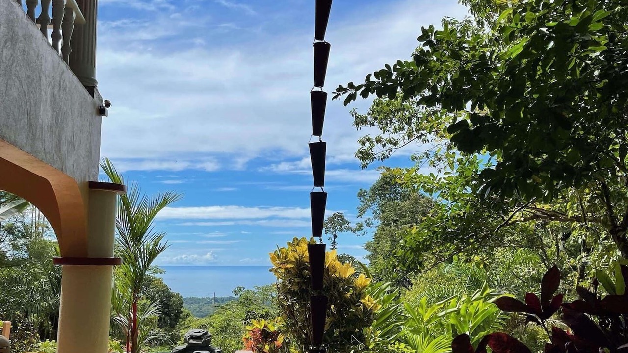 Photo of Outdoor in Ballena
