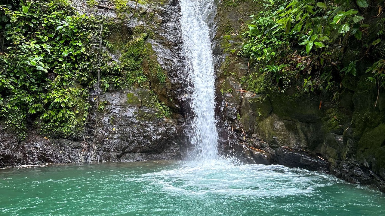 Photo of Others in Ballena