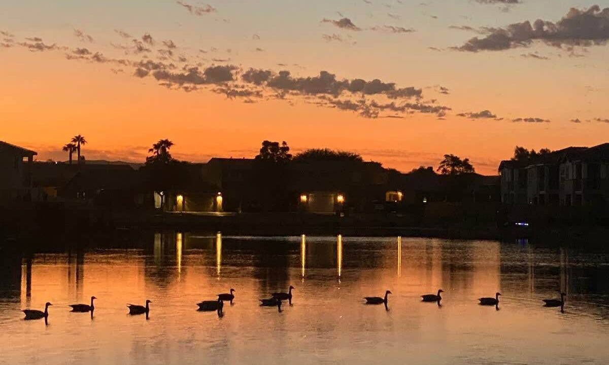 Photo of Others in Terra Lago