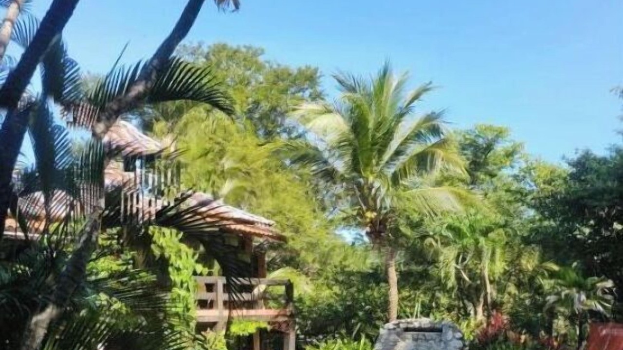 Photo of Outdoor in Santa Cruz