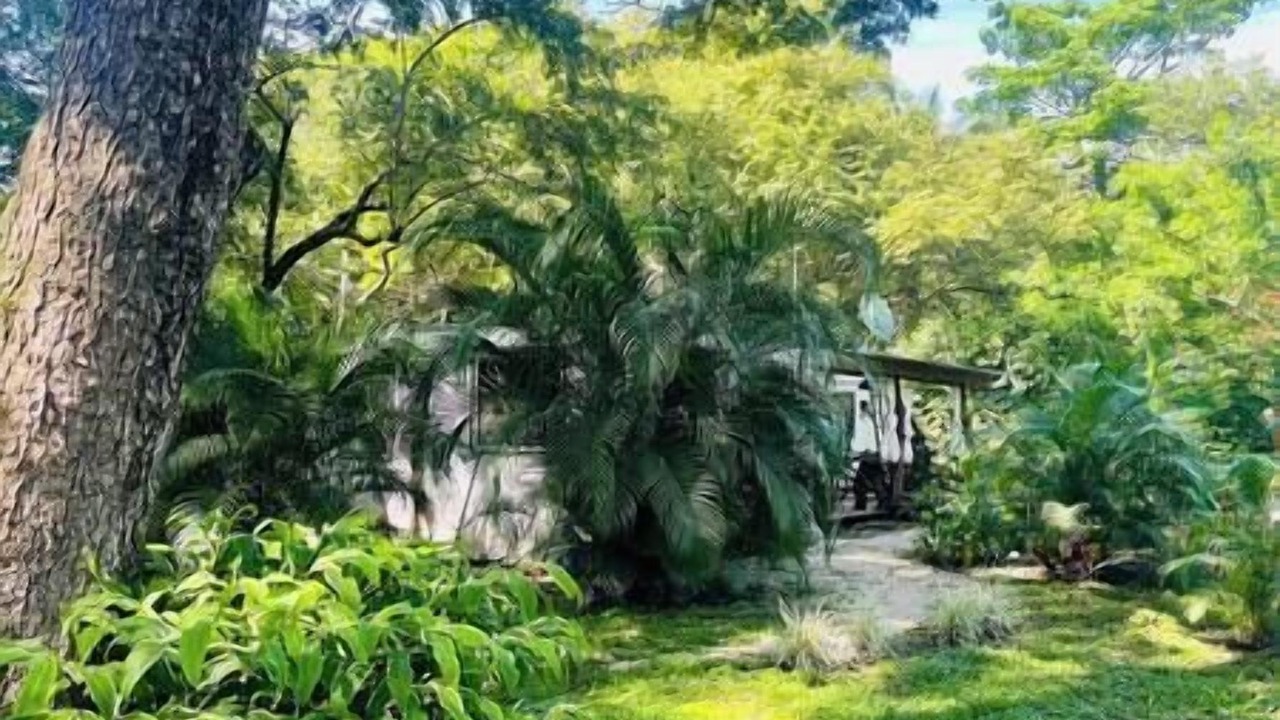 Photo of Outdoor in Nosara