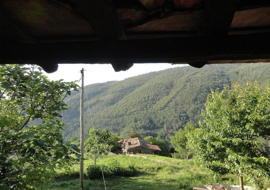 Photo of Outdoor in Lousa