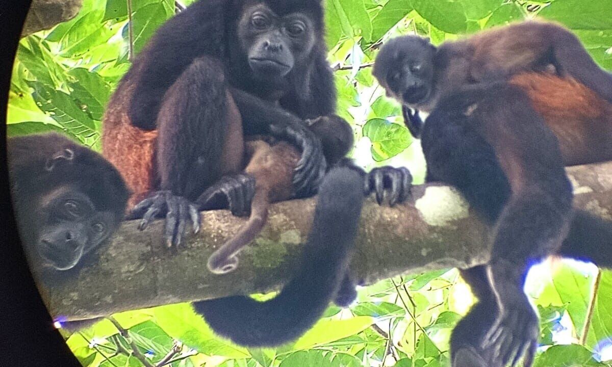 Photo of Others in Drake Bay