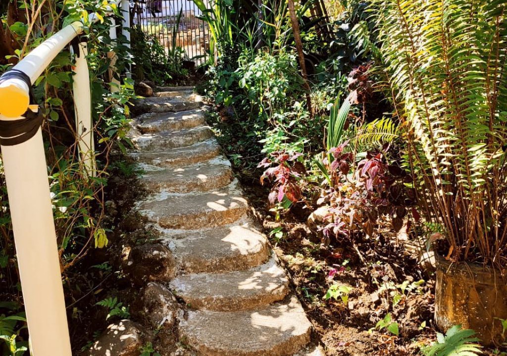 Photo of Outdoor in Drake Bay