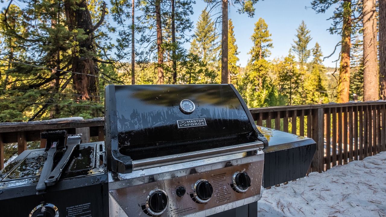 Photo of Outdoor in Camp Connell