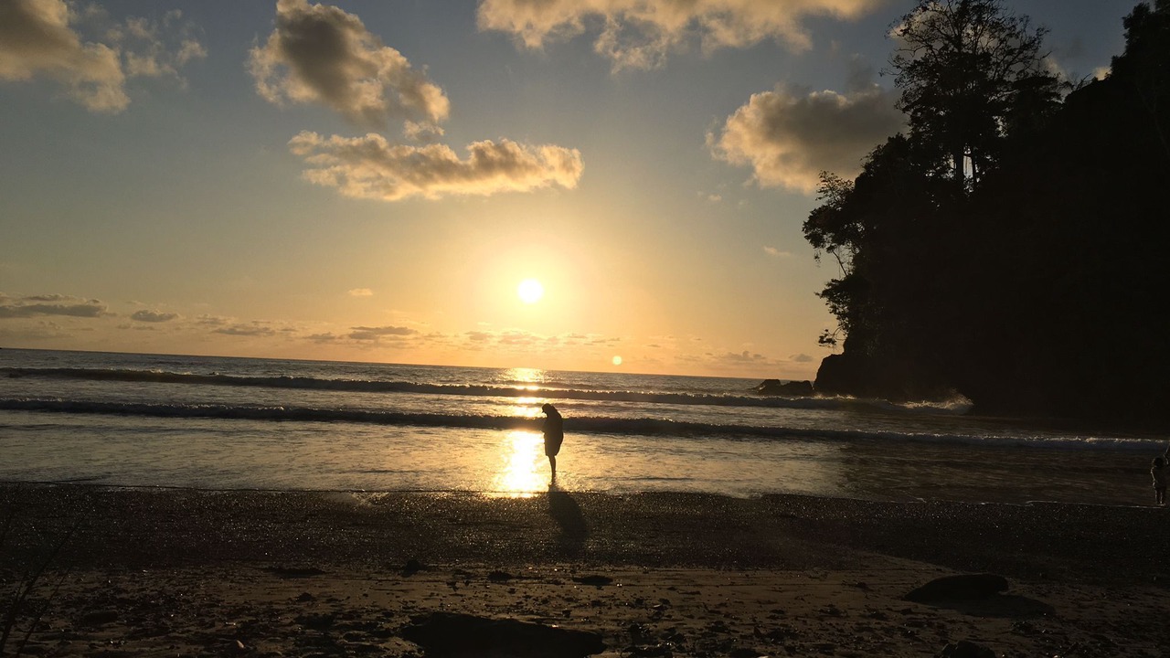 Photo of Others in Ballena