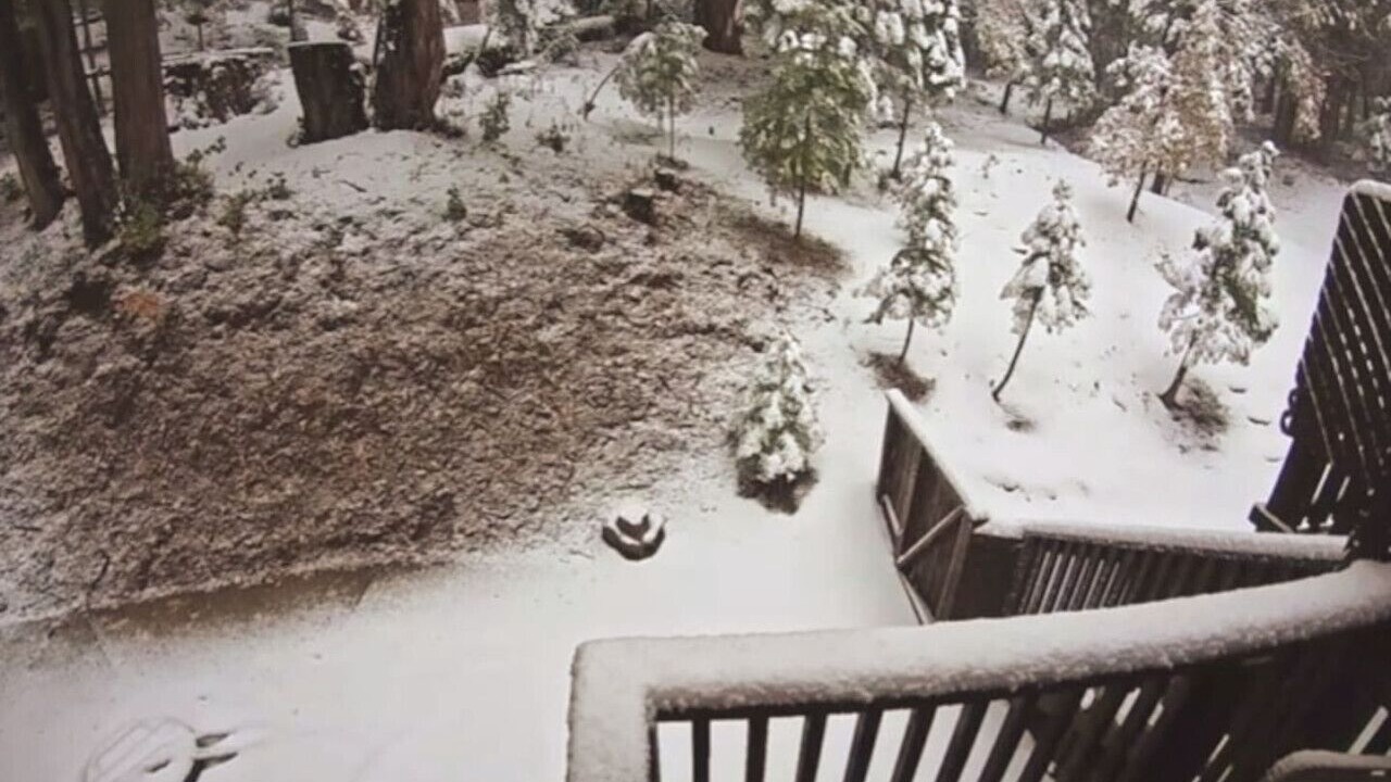 Photo of Outdoor in Sugar Pine