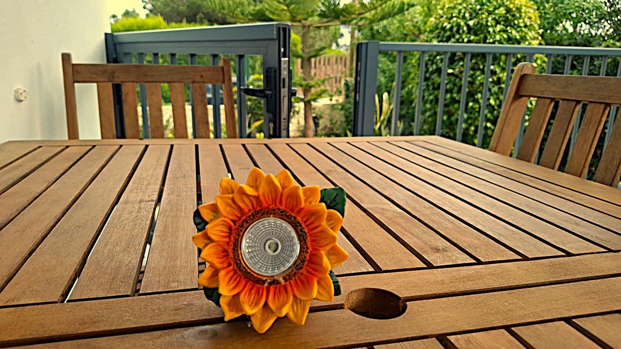 Photo of Outdoor in Aljezur